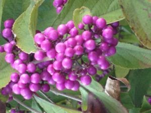 Read more about the article Lorem ipsum unterwegs